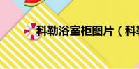 科勒浴室柜图片(科勒浴室柜)