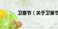 卫塞节(关于卫塞节的简介)