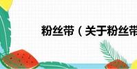 粉丝带(关于粉丝带的简介)