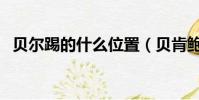 贝尔踢的什么位置(贝肯鲍尔踢什么位置)
