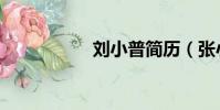 刘小普简历(张小普)