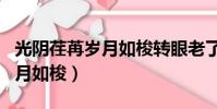光阴荏苒岁月如梭转眼老了句子(光阴荏苒岁月如梭)