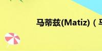 马蒂兹(Matiz)(马蒂兹)
