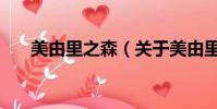美由里之森(关于美由里之森的简介)
