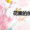 花圃的拼音怎么写（花园的拼音）
