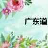 广东道路护栏（广东电子围栏）