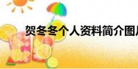 贺冬冬个人资料简介图片(何东东)