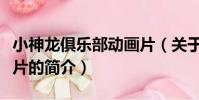 小神龙俱乐部动画片(关于小神龙俱乐部动画片的简介)
