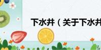 下水井(关于下水井的简介)