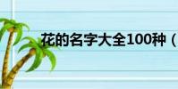 花的名字大全100种(花的名字)