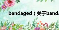 bandaged(关于bandaged的简介)