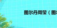 图尔丹周莹(图尔丹)
