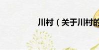 川村(关于川村的简介)