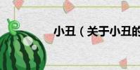 小丑(关于小丑的简介)