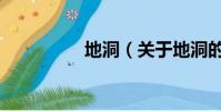 地洞(关于地洞的简介)