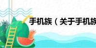 手机族(关于手机族的简介)