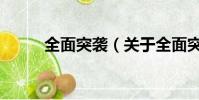 全面突袭(关于全面突袭的简介)