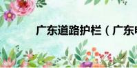 广东道路护栏(广东电子围栏)