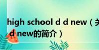 high school d d new(关于high school d d new的简介)