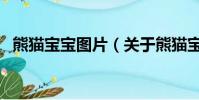 熊猫宝宝图片(关于熊猫宝宝图片的简介)