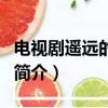 电视剧遥远的婚约（关于电视剧遥远的婚约的简介）