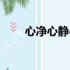 心净心静心境的意思（心境的意思）