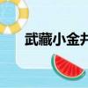 武藏小金井（关于武藏小金井的简介）