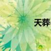 天葬(尸体暴露在猛禽面前)