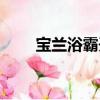 宝兰浴霸开关接线图解（宝兰浴霸）