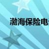 渤海保险电话人工服务（渤海保险电话）