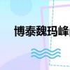 博泰魏玛峰尚二期房价（博泰魏玛峰尚）