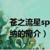 苍之流星spt雷兹纳（关于苍之流星spt雷兹纳的简介）