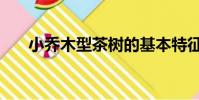 小乔木型茶树的基本特征是(小乔木)