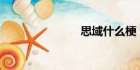 思域什么梗?