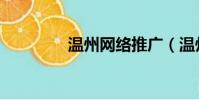 温州网络推广(温州网通)