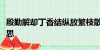 殷勤解却丁香结纵放繁枝散诞春这句话什么意思