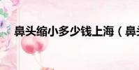 鼻头缩小多少钱上海(鼻头缩小多少钱)