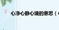 心净心静心境的意思(心境的意思)
