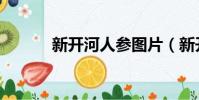 新开河人参图片(新开河人参)