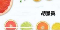 胡景翼