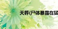 天葬(尸体暴露在猛禽面前)