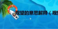 观望的意思解释(观望的意思)