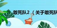 敢死队2 (关于敢死队2 的简介)