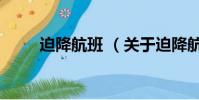 迫降航班 (关于迫降航班 的简介)