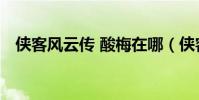 侠客风云传 酸梅在哪(侠客风云传 酸梅)