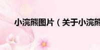小浣熊图片(关于小浣熊图片的简介)