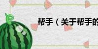 帮手(关于帮手的简介)