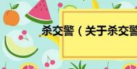 杀交警(关于杀交警的简介)
