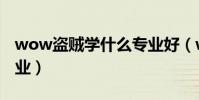 wow盗贼学什么专业好(wow盗贼学什么专业)