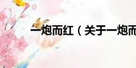 一炮而红(关于一炮而红的简介)